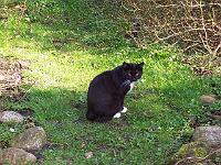 11-04-05kodak_019