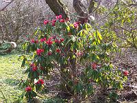 04-04-05kodak_038