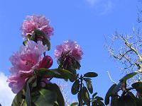 09-04-06canon_021