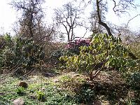 11-04-05kodak_044