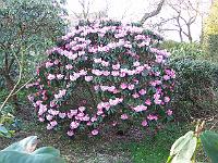 11-04-05kodak_107