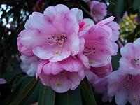11-04-05kodak_118