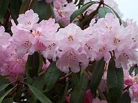 12-04-05kodak_091