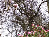 14-04-05kodak_041