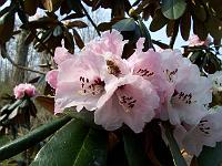 15-04-05kodak_075