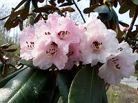 15-04-05kodak_077