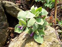 15-04-05kodak_107