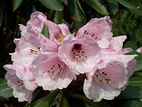 15-04-05kodak_134