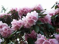 15-04-05kodak_153
