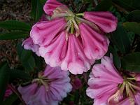 15-04-05kodak_154