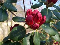 16-04-05kodak_016