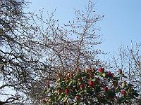16-04-05kodak_023