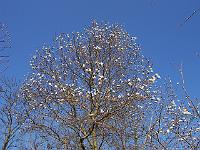 16-04-05kodak_051