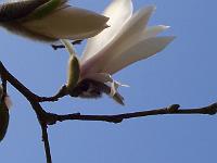 16-04-05kodak_056