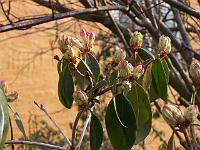 17-04-05kodak_015