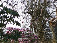 17-04-05kodak_061