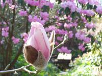 20-04-05kodak_140