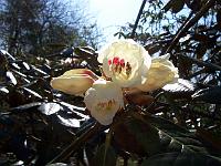 20-04-05kodak_164
