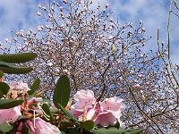 20-04-05kodak_179