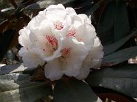20-04-05kodak_182