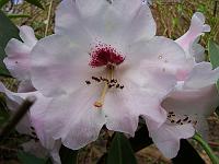 20-04-05kodak_190