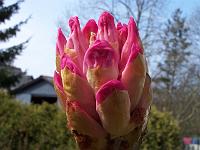 20-04-05kodak_211