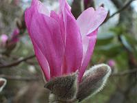 21-04-05kodak_042