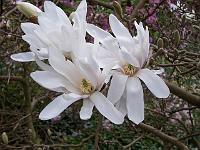 21-04-05kodak_054