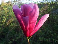 21-04-05kodak_075