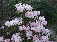 21-04-05kodak_092