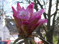 22-04-05kodak_003