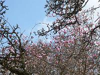 22-04-05kodak_044