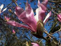 24-04-05kodak_199