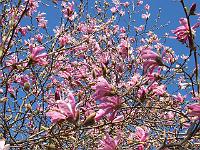 24-04-05kodak_202