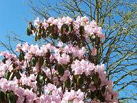 24-04-05kodak_229