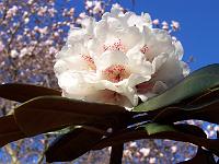 24-04-05kodak_274