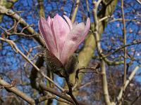 24-04-05kodak_277