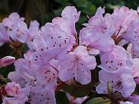 25-04-05kodak_085