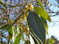 25-04-05kodak_145