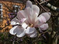 25-04-05kodak_206