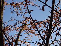 26-04-05kodak_010
