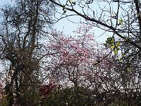 26-04-05kodak_051