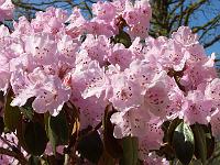 26-04-05kodak_054