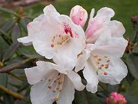 27-04-05canon_023