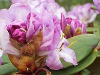 27-04-05canon_030