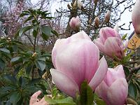 27-04-05canon_034