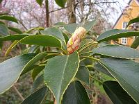 27-04-05canon_037