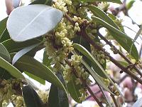27-04-05canon_046
