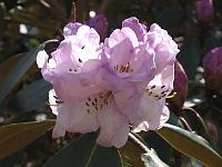 28-04-05canon_002
