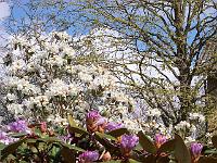 28-04-05kodak_025
